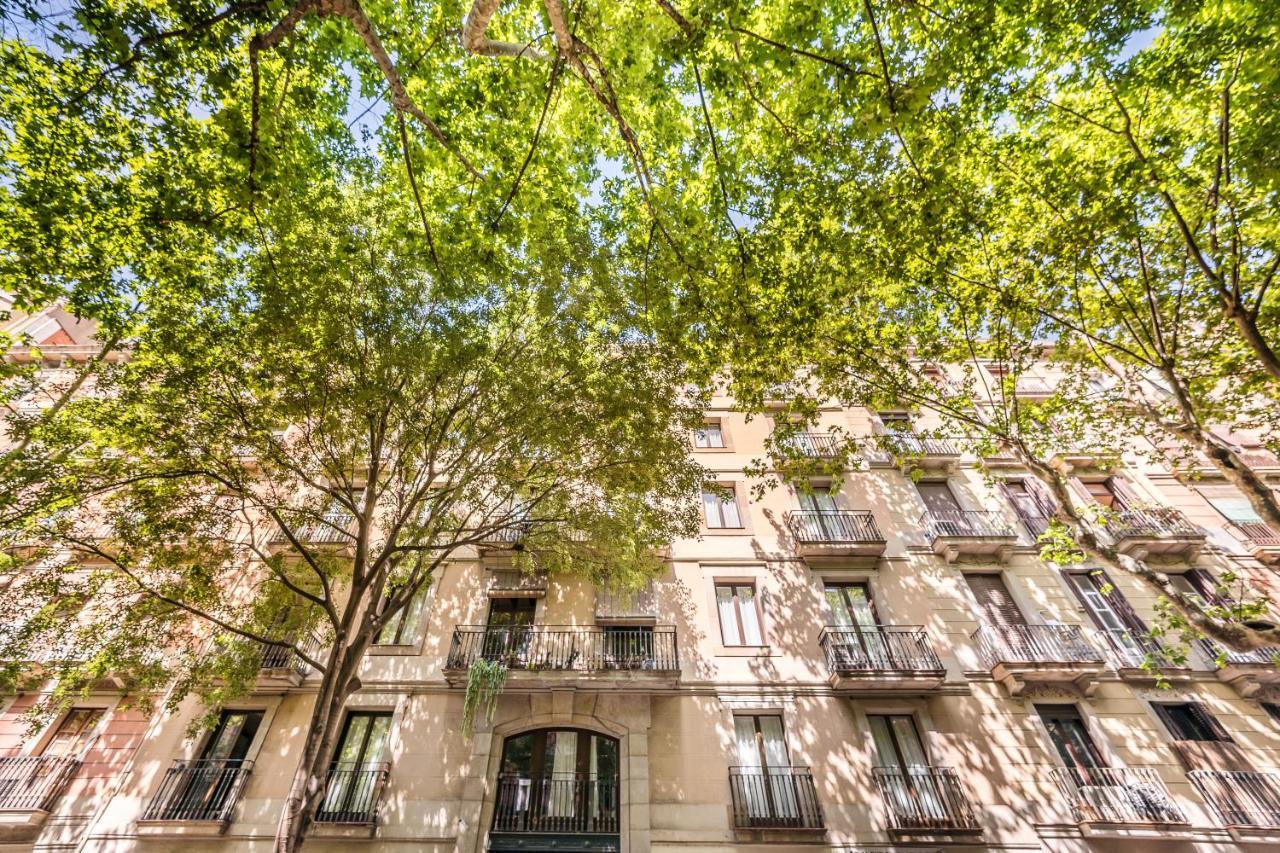 Sweett - La Villarroel — Photos 3